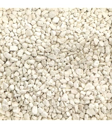 Amazon.co.jp: 鳥海石408キロ庭石鑑賞石石盆石水石灯籠庭坪庭盆栽